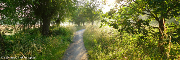 ein sonniger weg