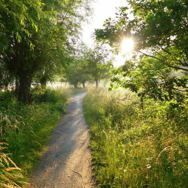 ein sonniger weg